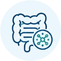 Gut Issues — hair fall root cause factor